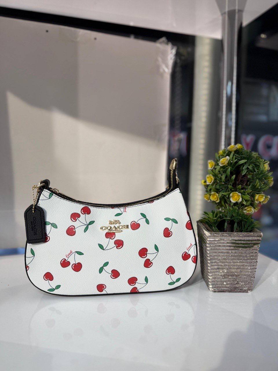 COACH Loop Askılı Çanta